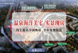 【卡尔广场花园】建面约122-144㎡的户型，参考均价：3688-3980元/㎡！